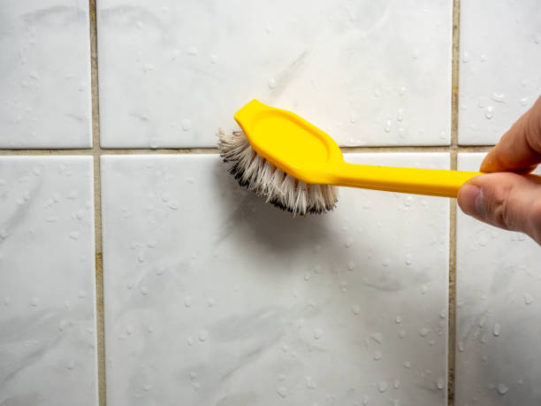 Best Fast Mold Removal  in Mango, FL