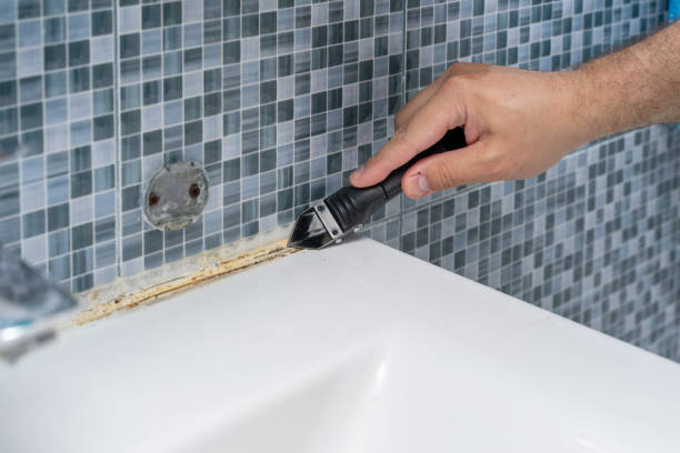 Best Black Mold Removal  in Mango, FL